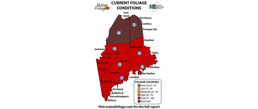 2017-maine--foliage-map-week-6-lg