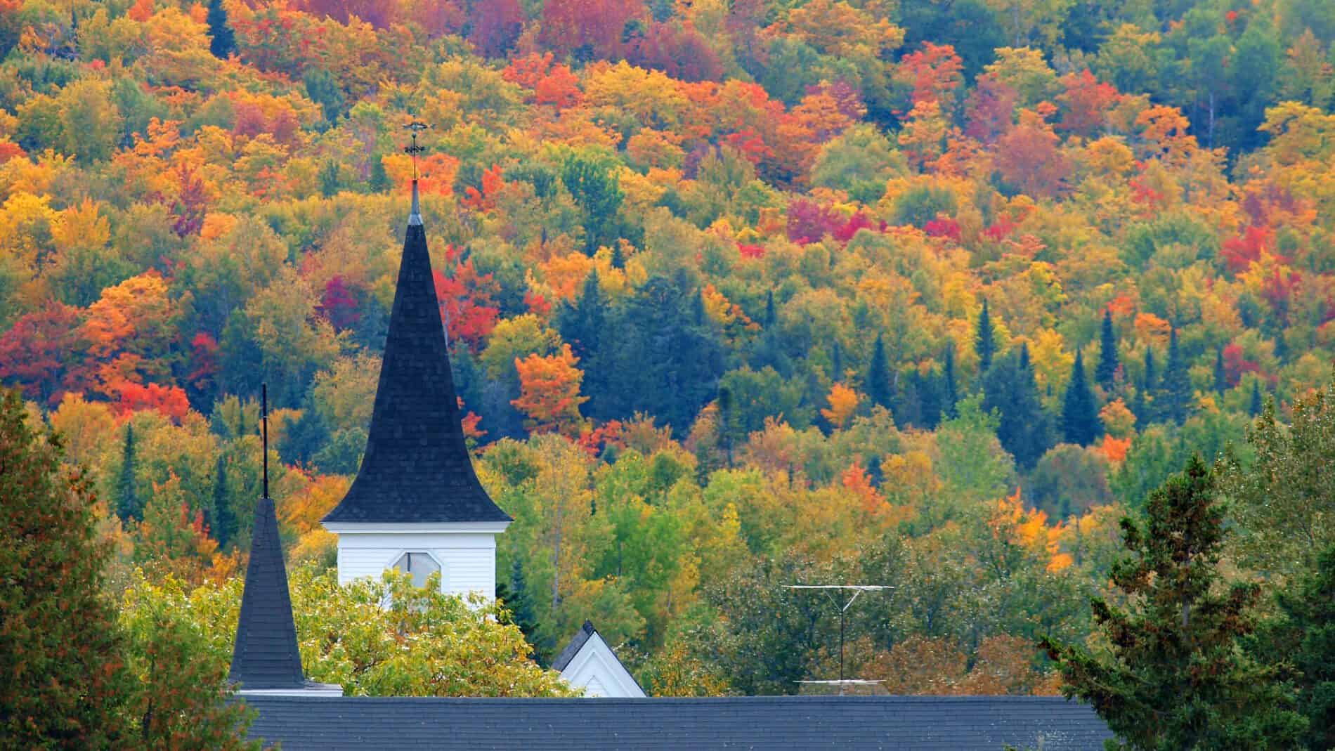 Aroostook-County-Foliage