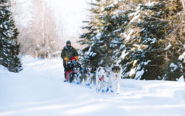 Maine-dog-sledding