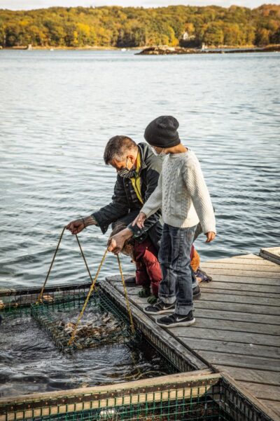 Maine Oyster Trail 