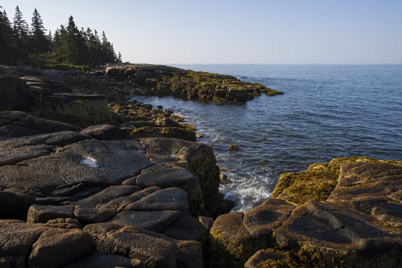 Rocky coastline with dark, weathered stones and sparse vegetation, bordered by calm blue ocean water under a clear sky.