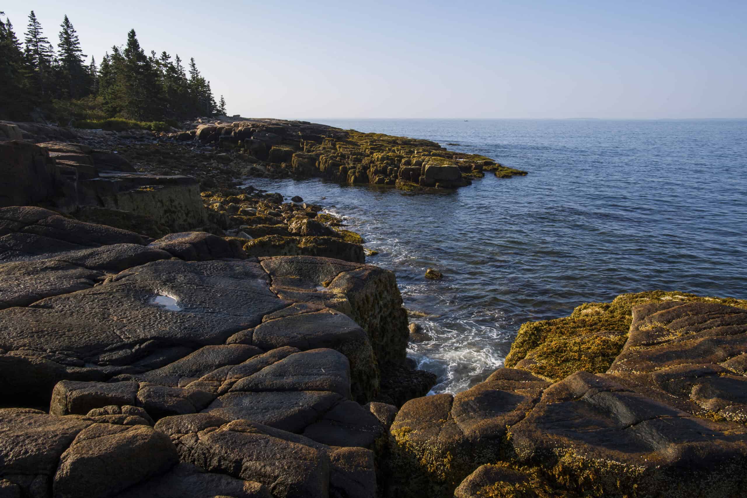 Rocky coastline with dark, weathered stones and sparse vegetation, bordered by calm blue ocean water under a clear sky.