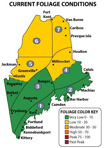 Maine foliage map, week 3