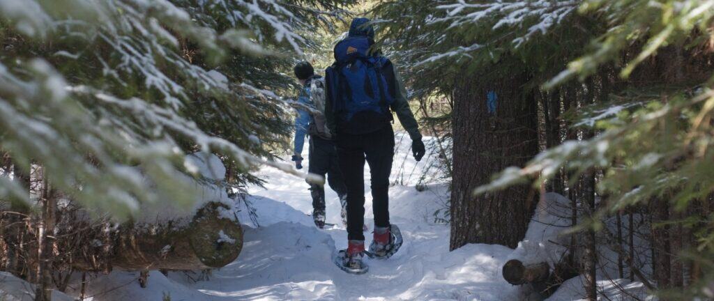 maine-snowshoe