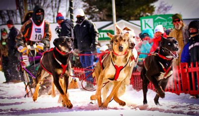 A team taking off in Fort Kent at the 2018 Can-Am Crown International Sled Dog Race. Photo Credit: Don Eno/Fiddlehaed Focus. For more Maine winter photos, click the image above or the link below.
