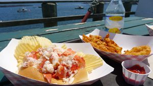 Maine Lobster roll
