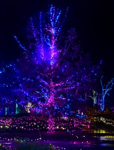 Gardens Aglow, Boothbay, Maine