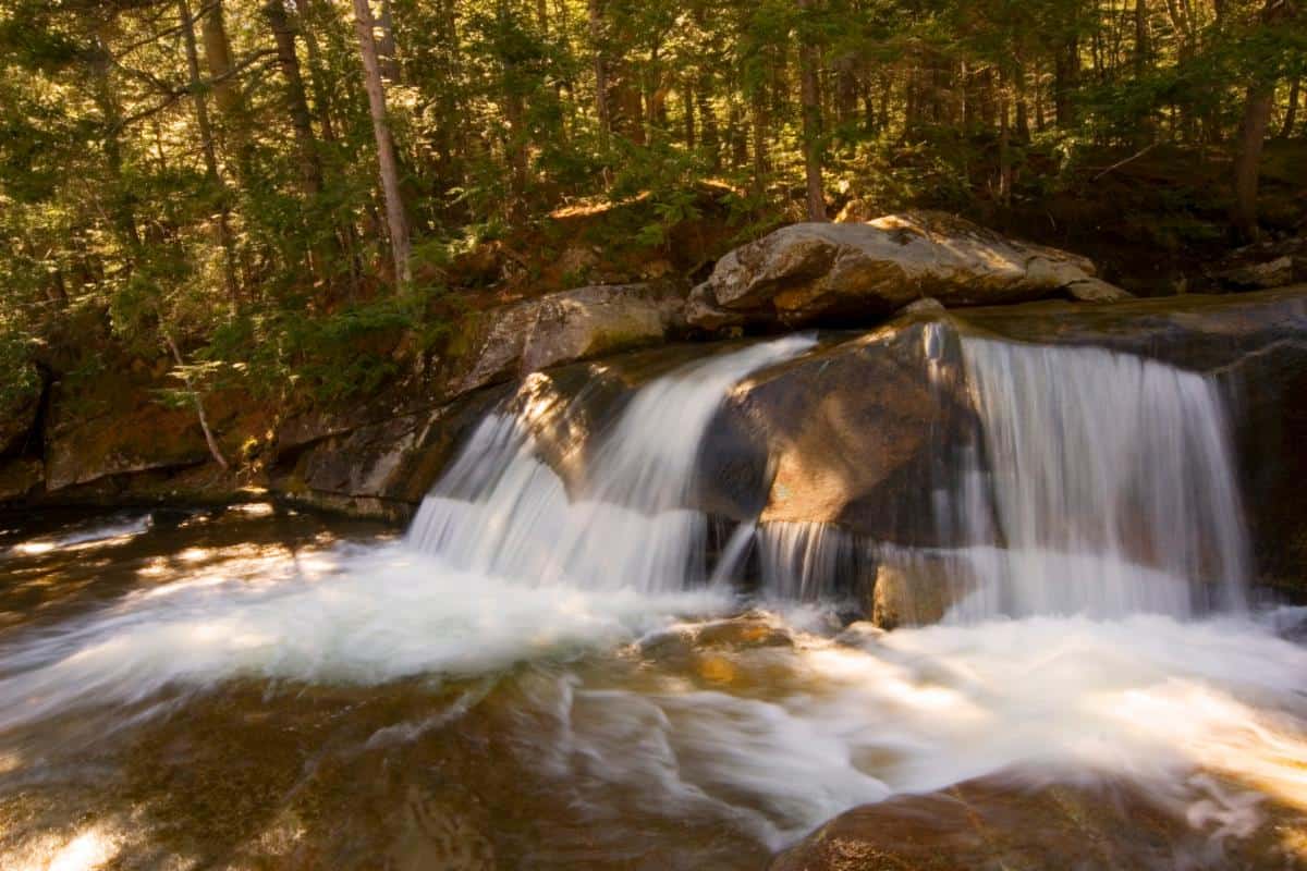 A stream flows over large rocks in a forested area, creating a small waterfall.