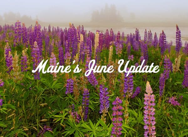 Maine's June Update