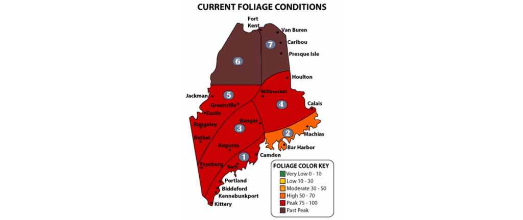 maine-foliage-map-101216