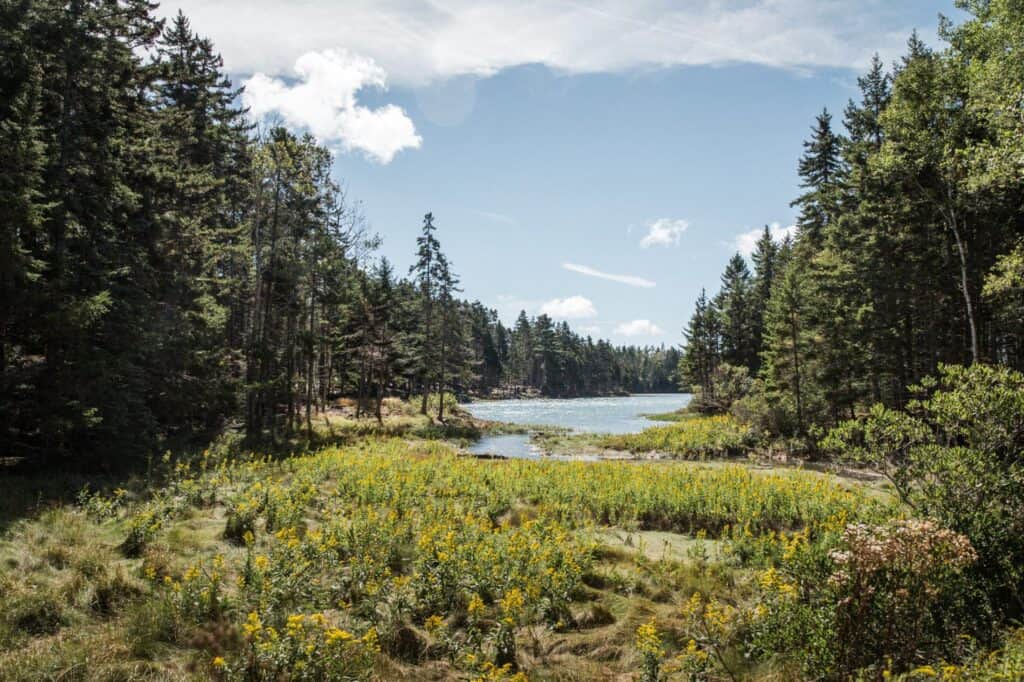 maine-scenery-lg