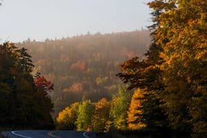 Foliage in the Rangeley, Maine, region