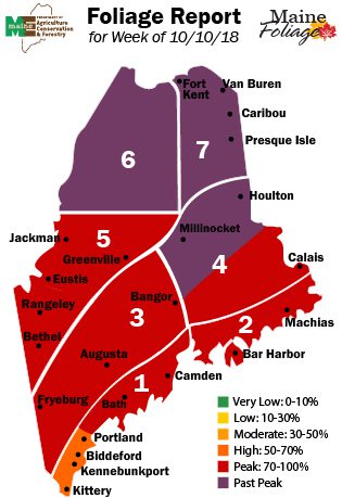 Maine Foliage Report for week 5