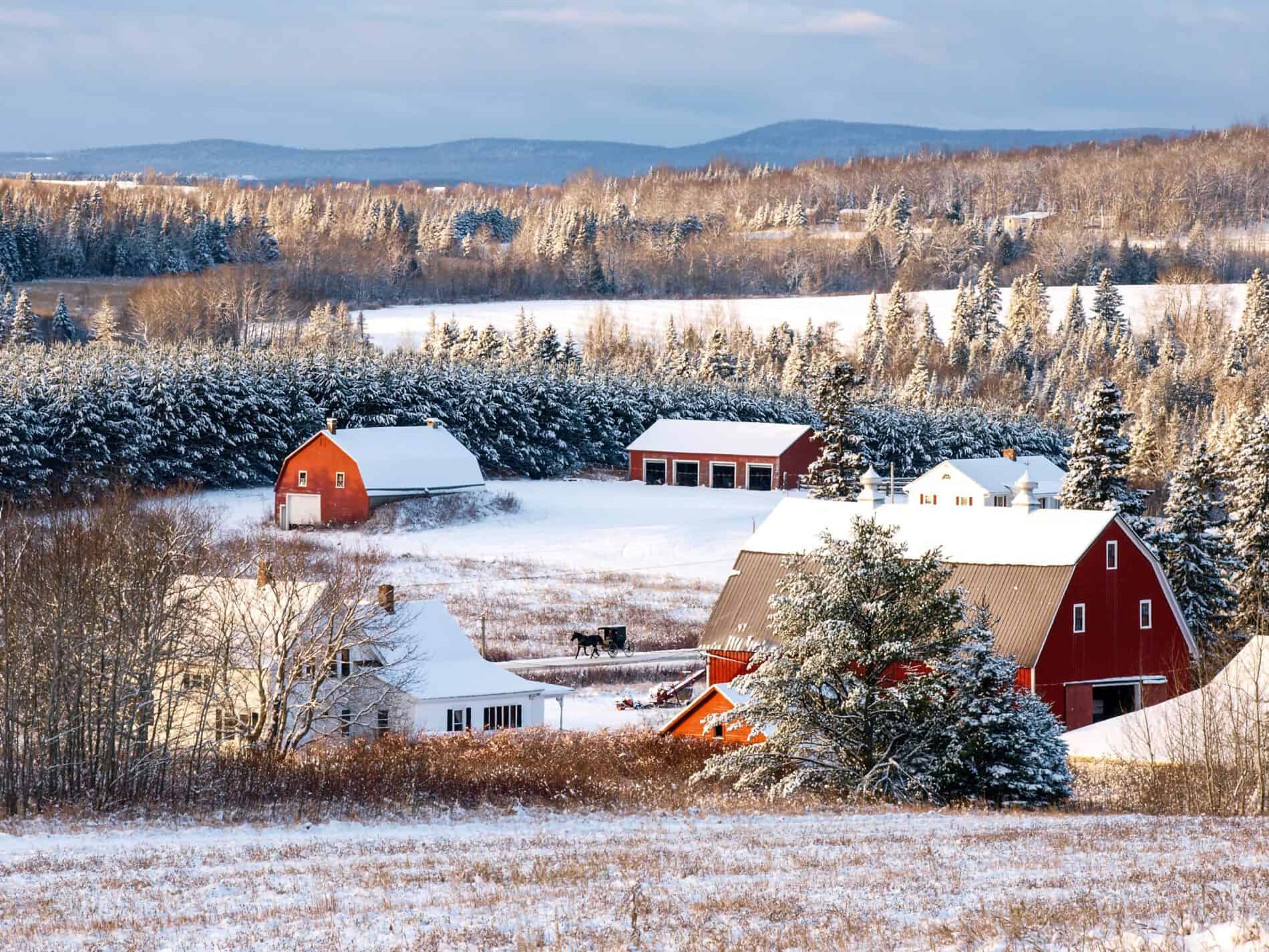 winter-barn